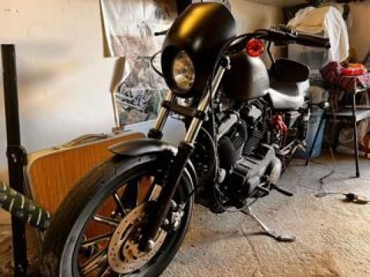 usato Harley Davidson 883 